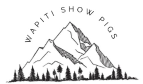 Wapiti Show Pigs